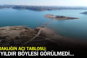 52 yıldır böylesi görülmedi! Kuraklığın en acı tablosu: Nehre ve kanallara su verilmiyor