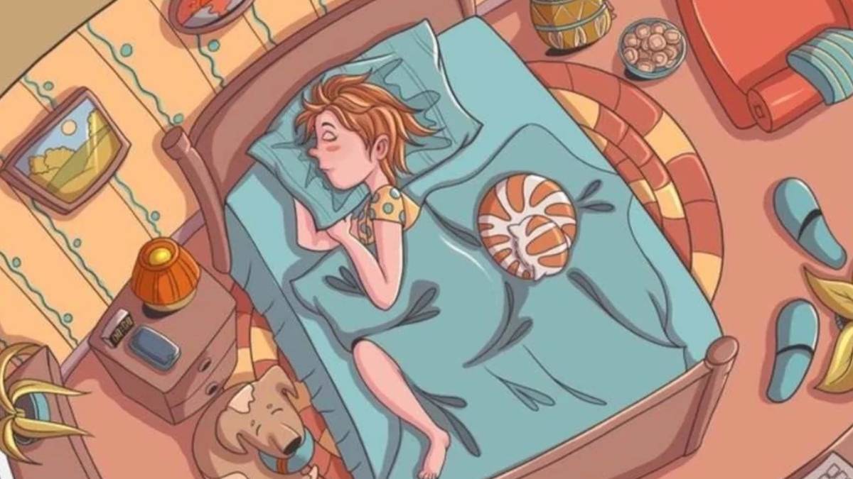 Dahi avı testi! Resimde gizli tavşanı görmek için en az 130 IQ gerekiyor! 9 saniyeniz başladı bile