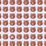 Sadece IQ’su en yüksek olanlar buluyor! 6 saniyede farklı olan kunduzu bulabilir misiniz?