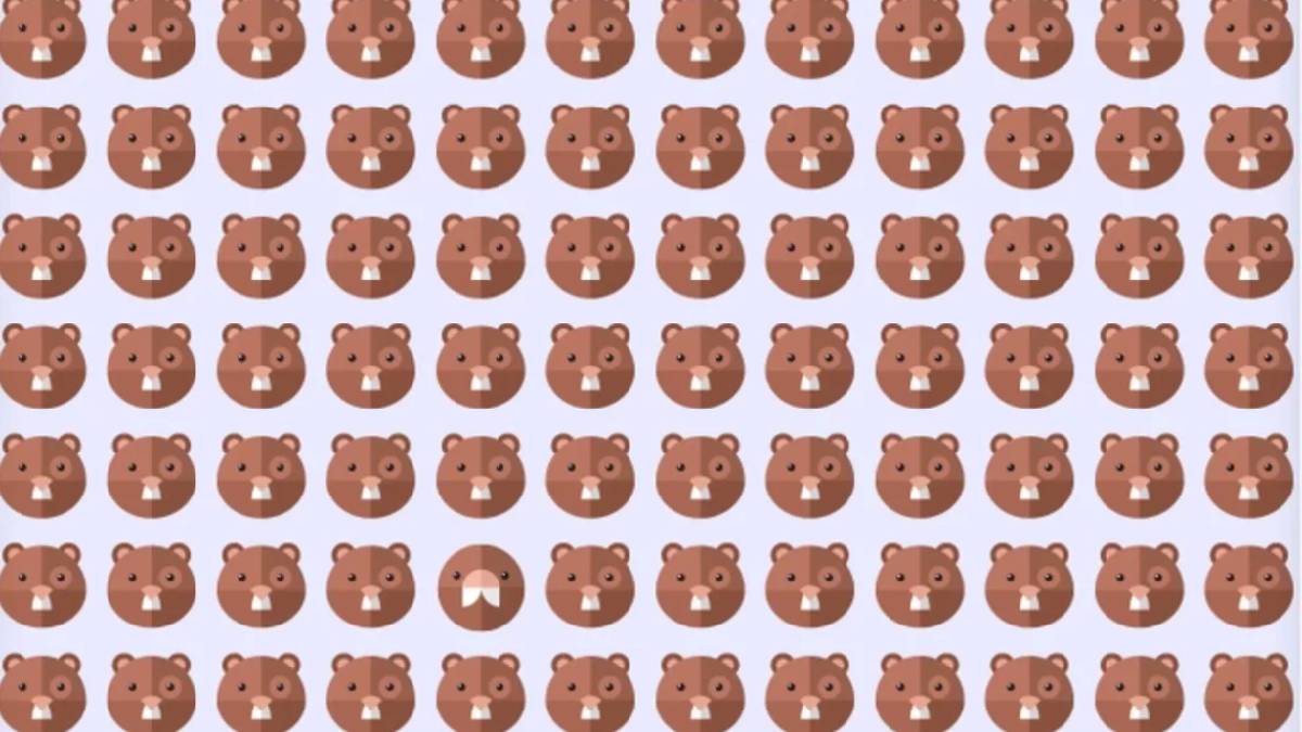 Sadece IQ’su en yüksek olanlar buluyor! 6 saniyede farklı olan kunduzu bulabilir misiniz?