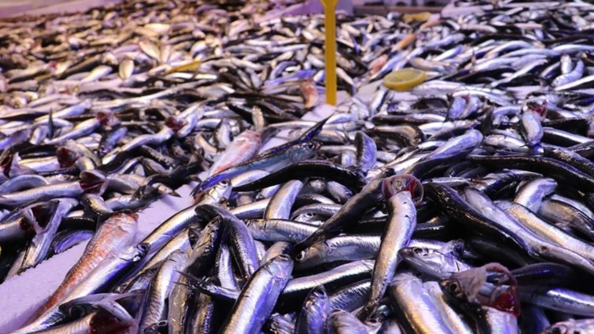 BM’den Karadeniz ve Akdeniz uyarısı: Alarm veriyor!