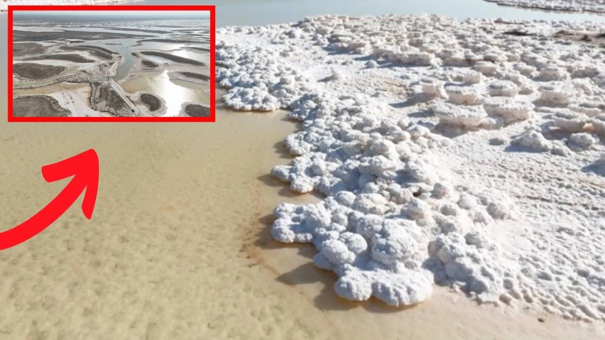 Tuz ihtiyacının yüzde 40’ını karşılıyordu, kırmızı alarm vermeye başladı! Yüzde 85 küçüldü