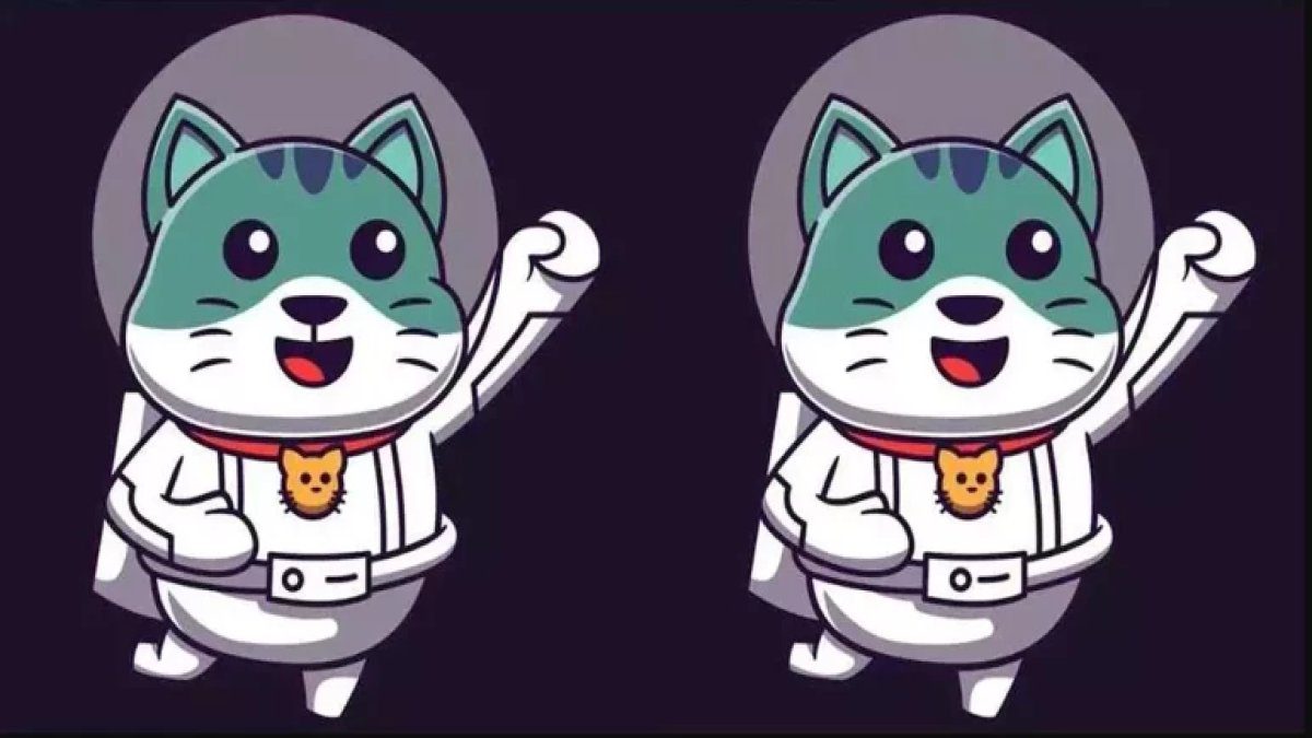 Uzayda zeka testi! Astronot kedinin resmindeki 3 farkı 12 saniyede bulanlar dahi ilan ediliyor