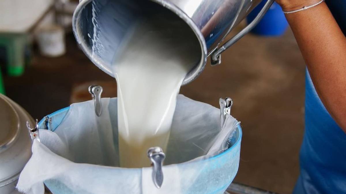 TÜSEDAD’dan çiğ süte zam çağrısı: Tavsiye fiyat 27 TL olmalı