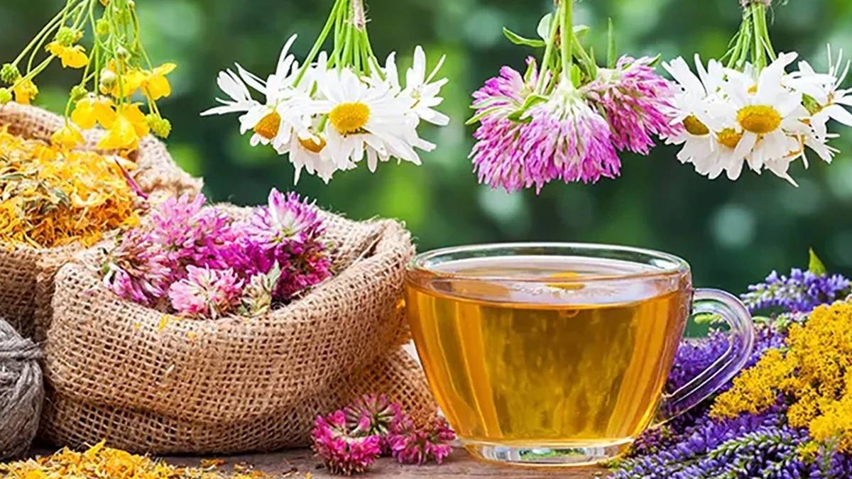 Bitki ve meyve çayı pazarı yüzde 31 büyüdü: Sağlıklı yaşam trendi sektörü hızlandırdı