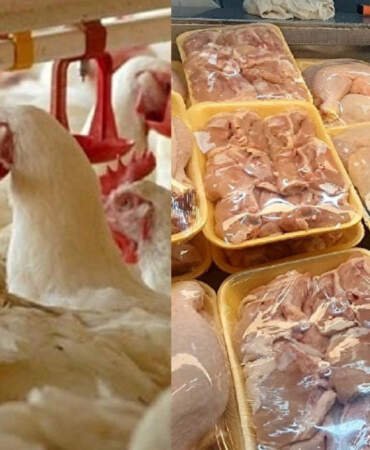 Ekonomik krizi etkisini artırıyor! Dev tavuk markası iflasın eşiğinde: 3 ay süre verildi