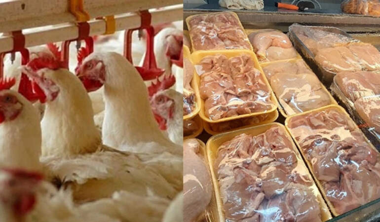 Ekonomik krizi etkisini artırıyor! Dev tavuk markası iflasın eşiğinde: 3 ay süre verildi