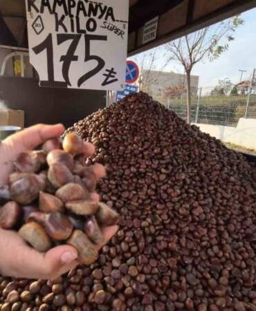 Havalar soğudu, ilgi arttı! Kilosu 175 liradan günde 600 kilo satılıyor…