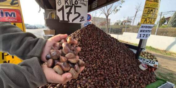 Havalar soğudu, ilgi arttı! Kilosu 175 liradan günde 600 kilo satılıyor…