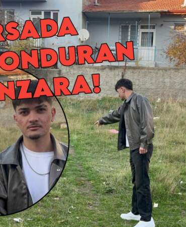 Eskişehir’de kan donduran olay! Boş arsada gözleri oyulmuş 8 kedi ölüsü bulundu
