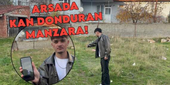 Eskişehir’de kan donduran olay! Boş arsada gözleri oyulmuş 8 kedi ölüsü bulundu
