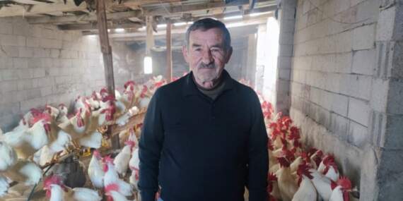Emekli öğretmenin organik girişimi! Hobi olarak başladı, 3 yılda 850 etlik horoz sahibi oldu