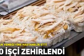 Tavuk yemeği yine hastanelik etti: 30 işçi zehirlendi
