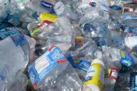 Her yıl bir tabak plastik yiyoruz: Mikroplastiklerin beyne 5 büyük zararı