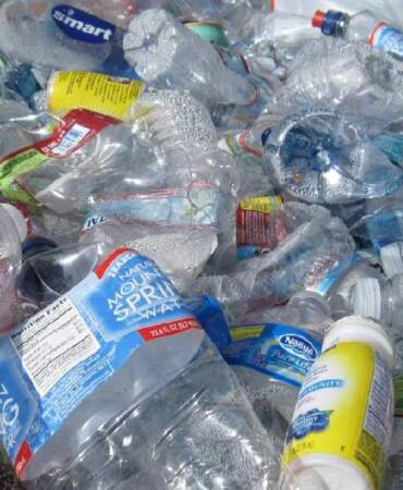 Her yıl bir tabak plastik yiyoruz: Mikroplastiklerin beyne 5 büyük zararı