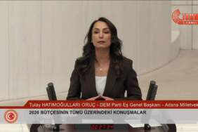 Hatimoğulları:  Kürt meselesi Cumhuriyet’in kurucu hukuk sözleşmesinin eksik bırakılmış yanıdır