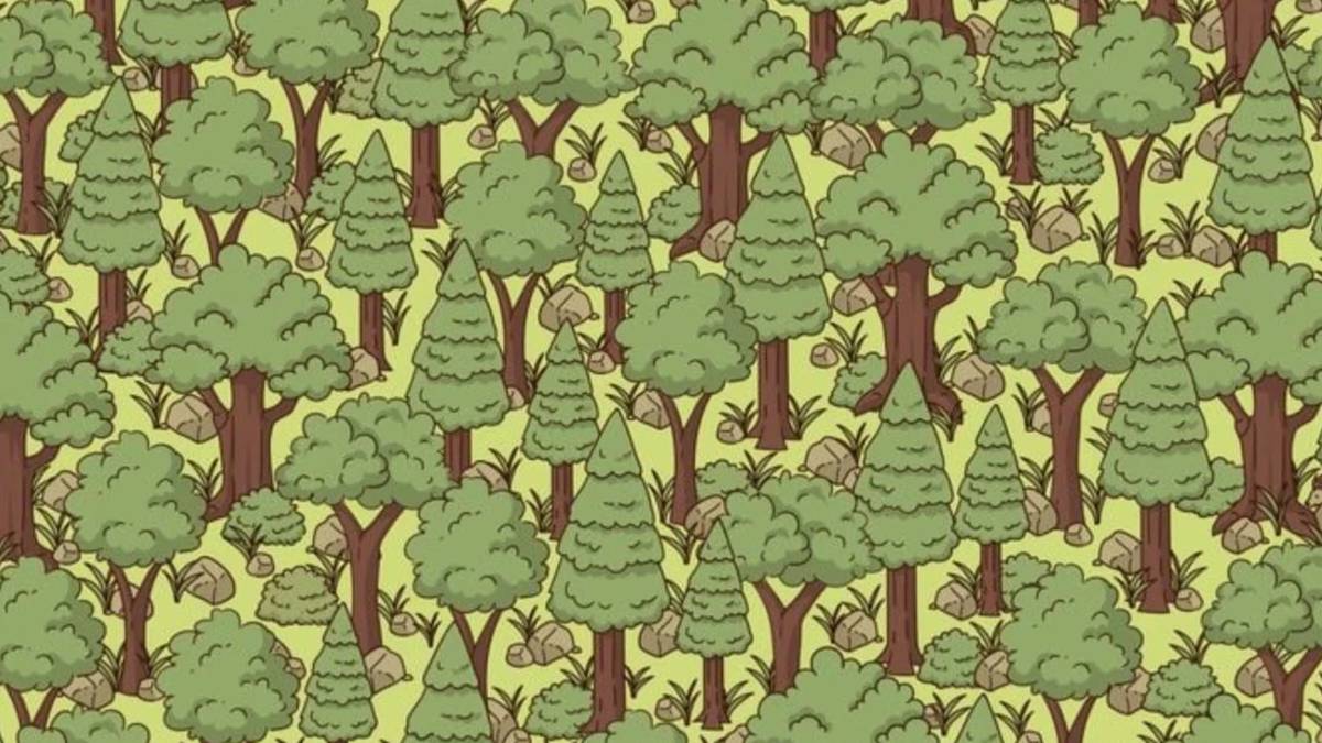 142 kişi denedi yalnızca 2 kişi çözebildi! 9 saniyede gizli kirpiyi bulabilir misiniz??