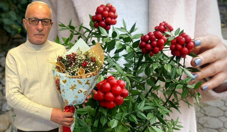 Aralık ayında herkes alıyor, resmen yok satıyor! Ormanlık alanlardan toplanıyor, şans getirdiğine inanılıyor
