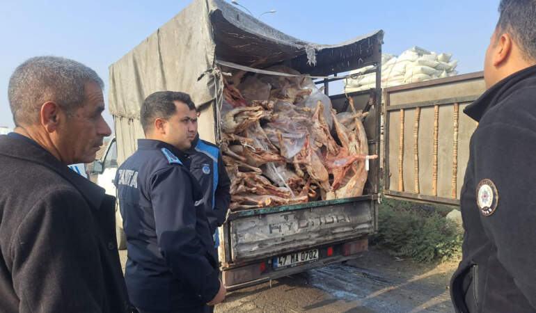 Gaziantep’te gıda skandalı: Rastgele durdurulan araçtan 2 ton bozuk et çıktı