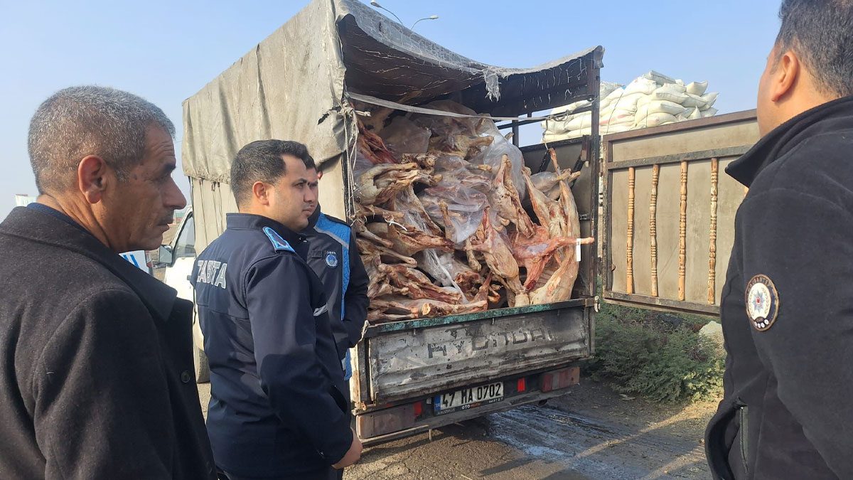 Gaziantep’te gıda skandalı: Rastgele durdurulan araçtan 2 ton bozuk et çıktı