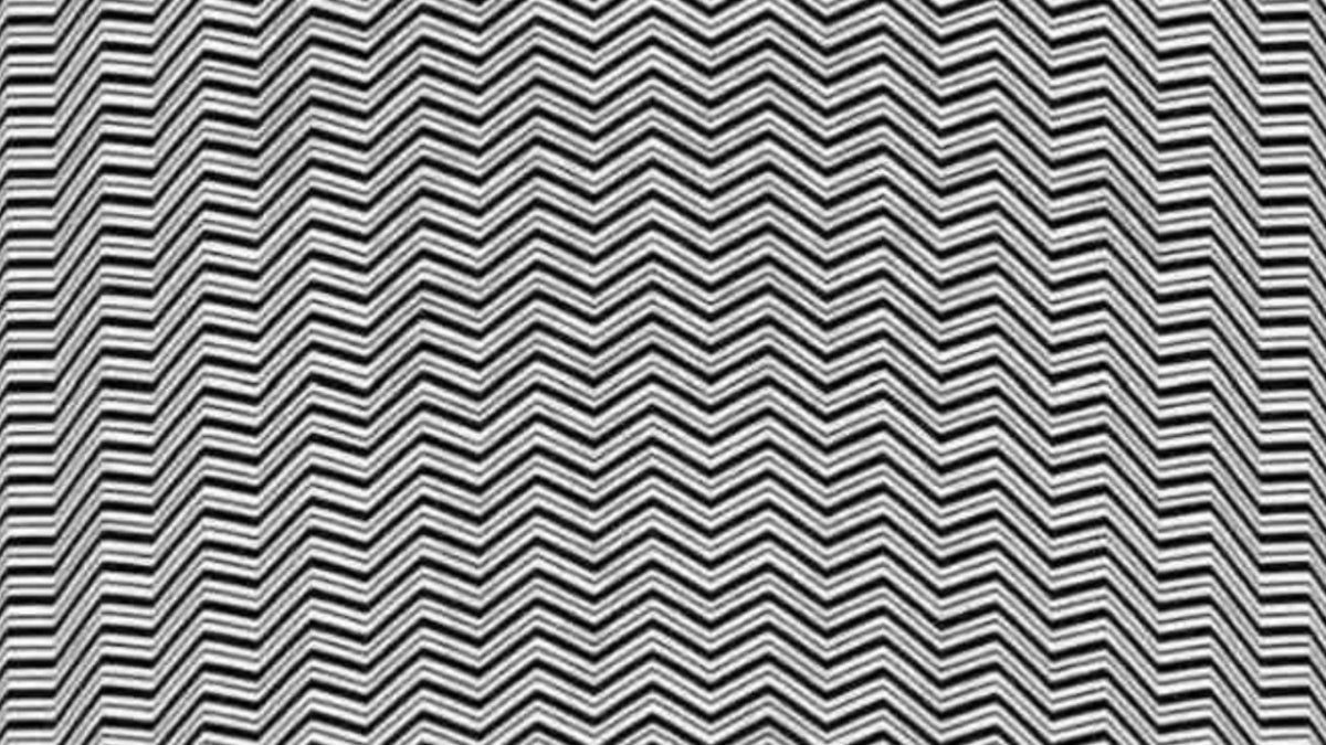 Optik illüzyonlu zeka testi: Gizli hayvanı 9 saniyede sadece yüksek IQ’lular buluyor!