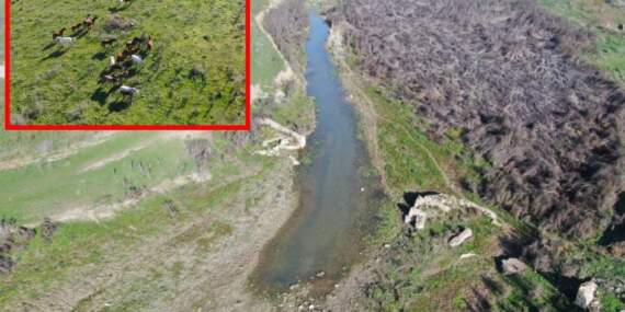Barajlar resmen boşaldı, kesintiler arttı! Su kesintileri her gün düzenli uygulanacak