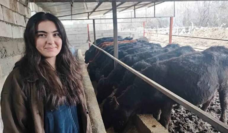 Atama bekliyordu hayvancılığa başladı! 25 yaşında 15 gebe düve sahibi: Baba desteğiyle işini büyütüyor