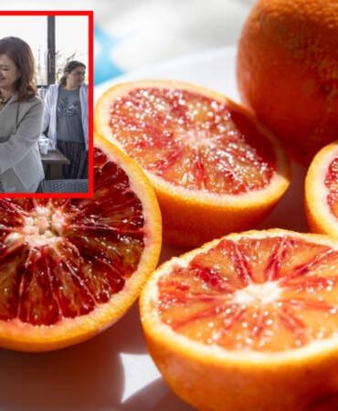 Kadın Kooperatifi başvurdu, başarıya imza attı! Mersin’in kan portakalı coğrafi işaret tescili aldı
