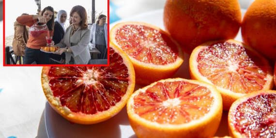 Kadın Kooperatifi başvurdu, başarıya imza attı! Mersin’in kan portakalı coğrafi işaret tescili aldı