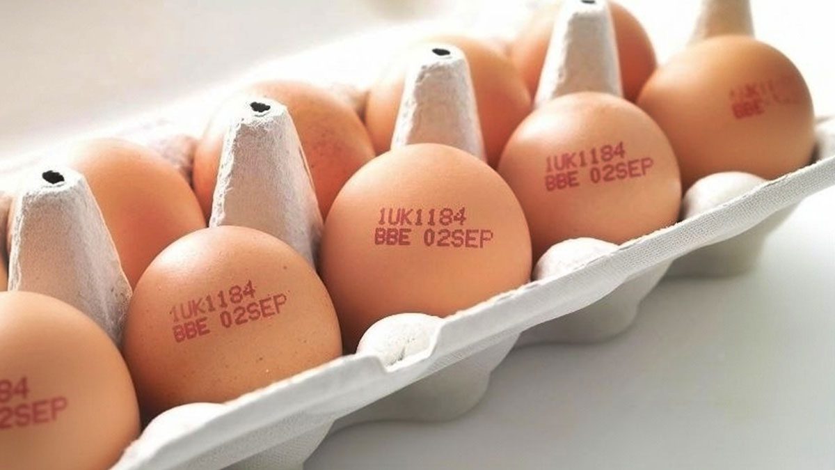 Yumurta kabuğundaki kodlar ne anlama geliyor? 0, 1, 2, 3 kodlu yumurtadan hangisi en sağlıklı?