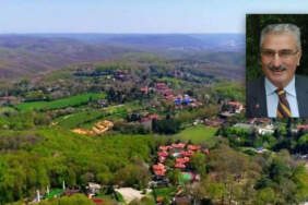 Betonlaşmaya karşı radikal öneri: Şehirdeki tüm yeşil alanlar ‘orman’ statüsüne alınmalı!