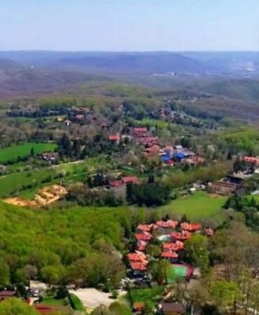 Betonlaşmaya karşı radikal öneri: Şehirdeki tüm yeşil alanlar ‘orman’ statüsüne alınmalı!