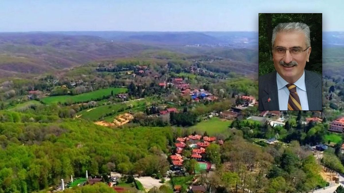 Betonlaşmaya karşı radikal öneri: Şehirdeki tüm yeşil alanlar ‘orman’ statüsüne alınmalı!