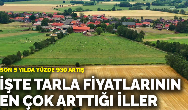 Son 5 yılda yüzde 930 artış: İşte tarla fiyatlarının en çok arttığı iller
