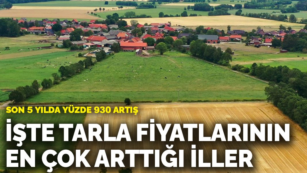 Son 5 yılda yüzde 930 artış: İşte tarla fiyatlarının en çok arttığı iller