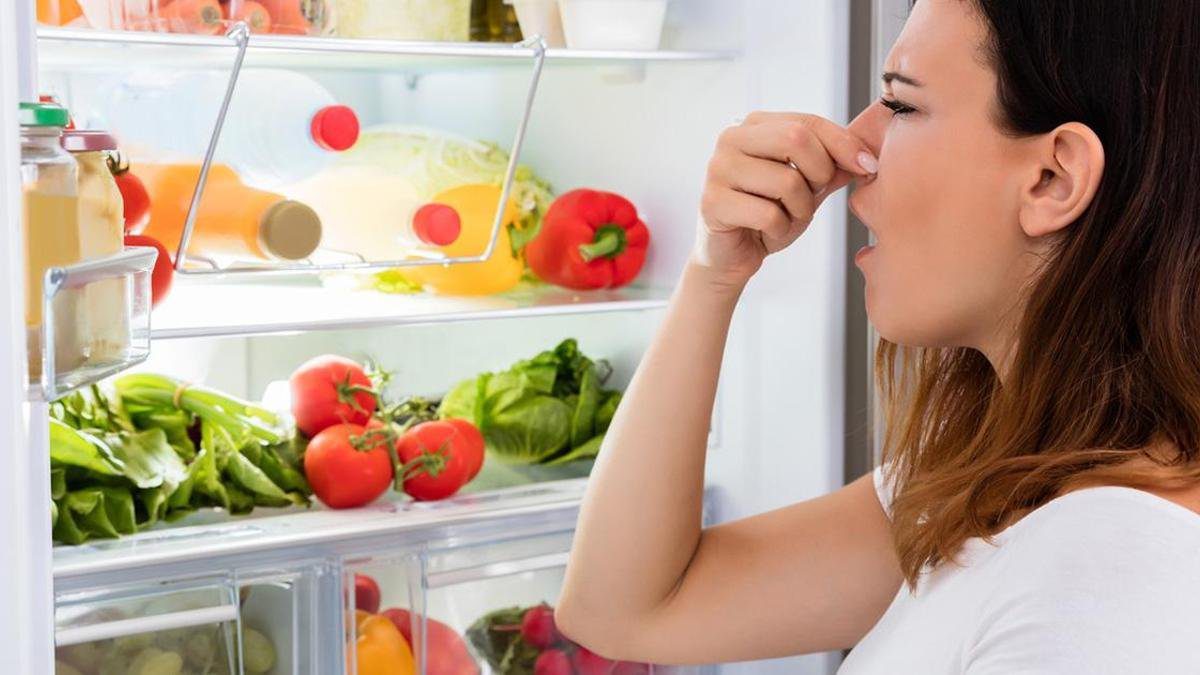 Buzdolabındaki inatçı kokuları en hızlı kesen yöntem! Ne karbonat ne sirke… Sünger görevi grüyor