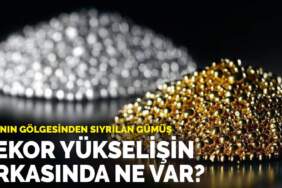 Altının gölgesinden sıyrılan gümüş: Rekor yükselişin arkasında ne var?
