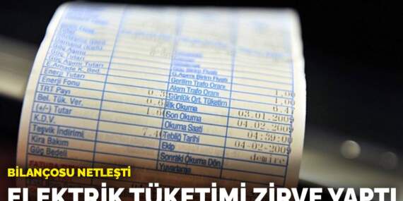 Bilançosu netleşti: Elektrik tüketimi zirve yaptı