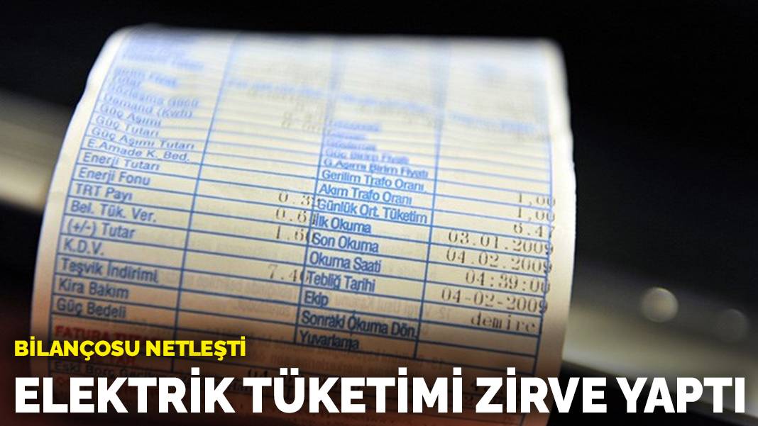 Bilançosu netleşti: Elektrik tüketimi zirve yaptı