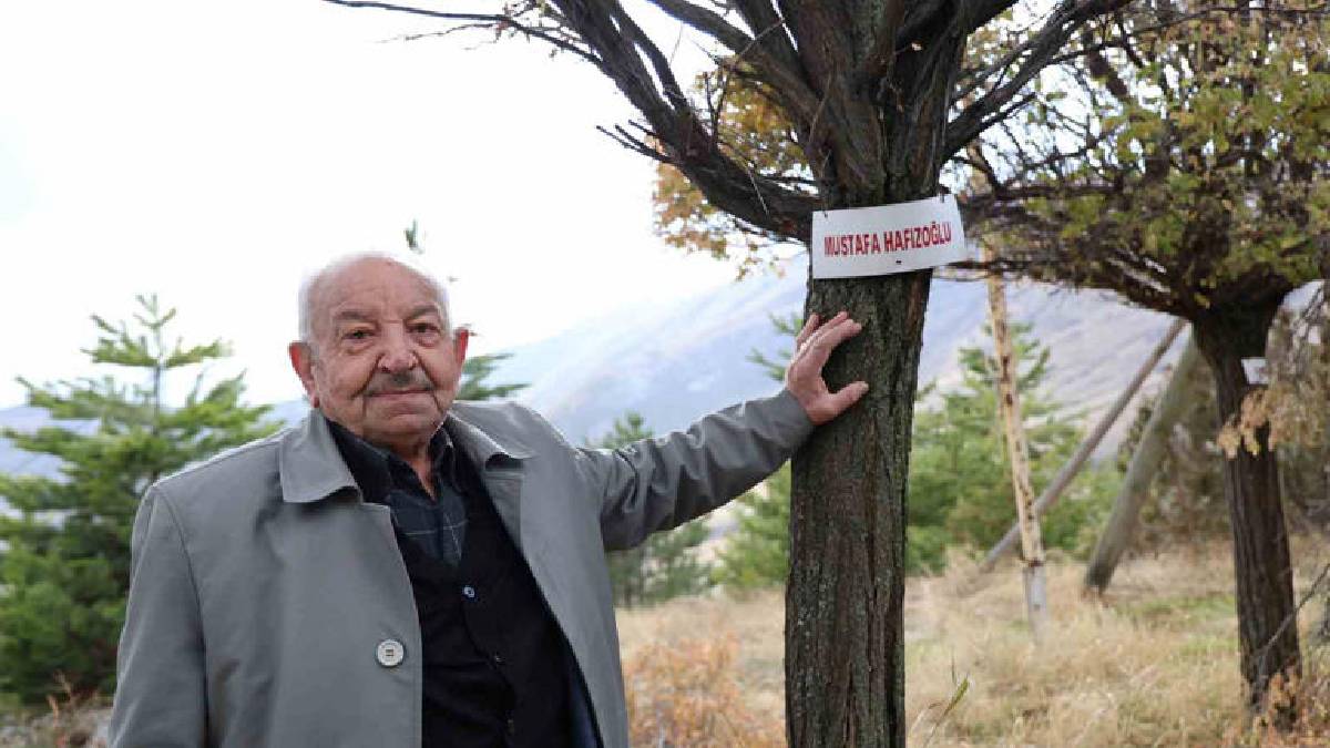 Değersiz tarlalarda yapıldı, Sivaslılar 3 bin tanesini toprakla buluşturdu! Her birine farklı isimler verildi