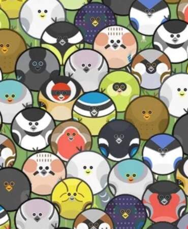 125 kişi denedi sadece 3’ü bulabildi! Gizlenmiş solucan nerede duruyor: 130 IQ’ya sahip olanlar anında buluyor