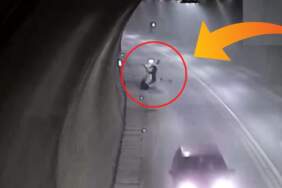 Motosiklet tünelde kontrolden çıkıp takla attı! Motosiklet sürücüsü 1 dakika sonra yoluna devam etti
