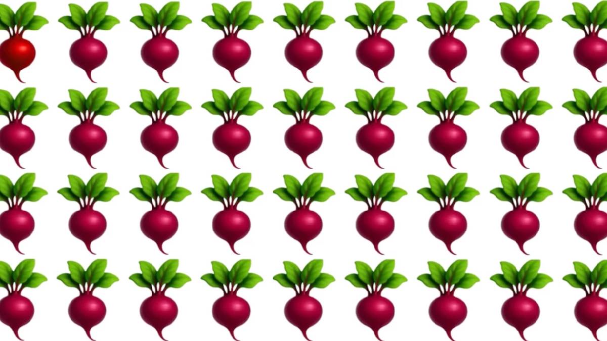 Tek bakışta bulan 130 IQ çıkıyor! Farklı turpu bulmak için süre 6 saniye! Zaman işliyor…