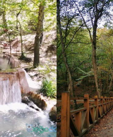 Tamamen ağaçlardan oluşuyor, görenleri hayran bırakıyor! Hem piknik hem yürüyüş hem kafa dağıtma alanı: Karaekşi Tabiat Parkı