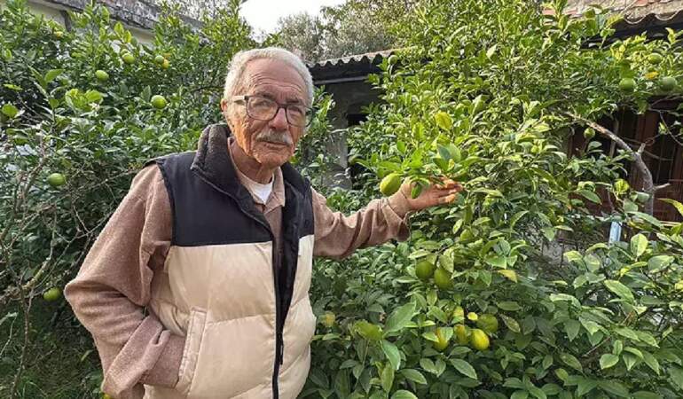 Almanya’da gördü Samsun’da yetiştirdi! 54 farklı çeşidiyle bahçeyi renklendiriyor, hiçbir kimyasal kullanmıyor