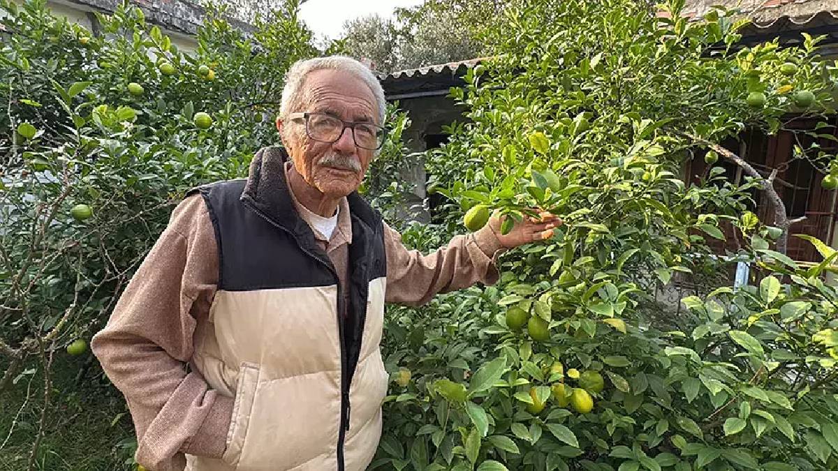 Almanya’da gördü Samsun’da yetiştirdi! 54 farklı çeşidiyle bahçeyi renklendiriyor, hiçbir kimyasal kullanmıyor