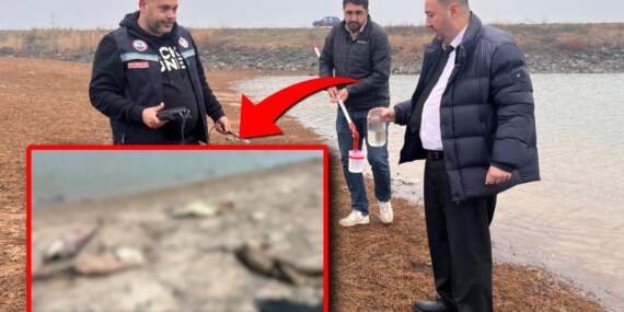Tekirdağ’da korkutan balık ölümleri: Temrezli Göleti alarm veriyor!