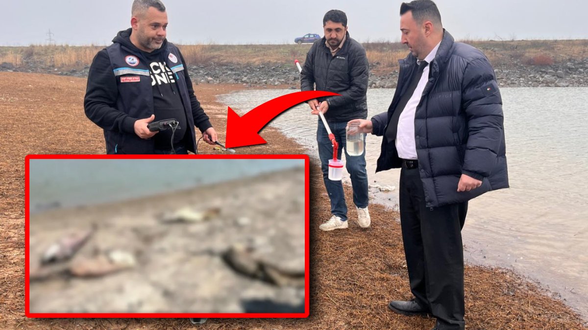Tekirdağ’da korkutan balık ölümleri: Temrezli Göleti alarm veriyor!