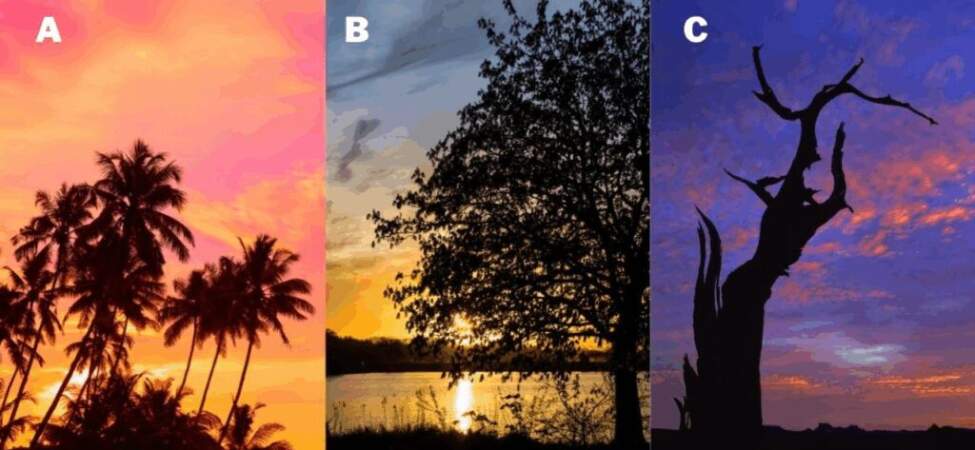 Kişilik testi: Gün batımında bir ağaç seçin ve size iç huzur getiren şeyi keşfedin