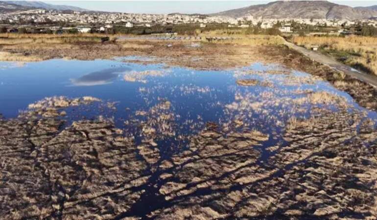 Temmuz ayında tamamen kurumuştu! Milleyha Kuş Cenneti küllerinden doğdu: Kuraklık bitince göçmen kuşlar geri döndü